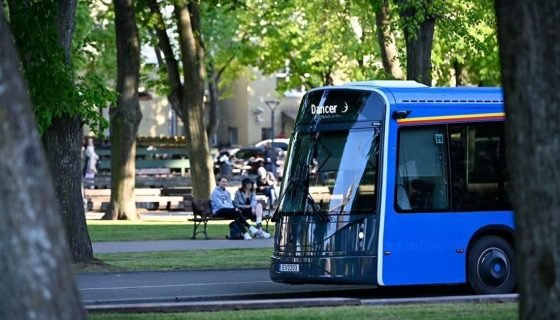 Beveik kasdien įvyksta susidūrimai su viešuoju transportu – priminė, kokių taisyklių nesilaikoma