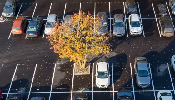 Automobilio vairuotojo atsakomybė