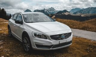 Volvo dalys