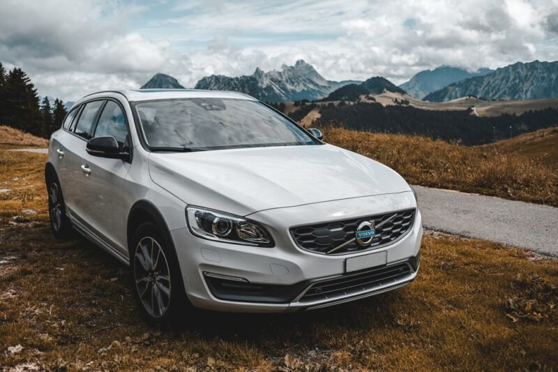 Volvo dalys