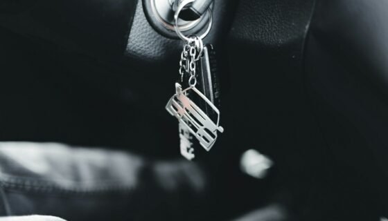 Lizingas ar vartojimo paskola automobiliui