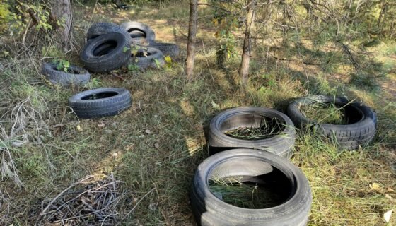 Senų padangų utilizavimas